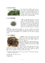 중국 10대 명차-4