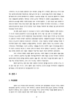 [국가브랜드 향상 방안] 국가브랜드의 중요성과 국가 브랜드 홍보방안 및 문제점과 향후 한국 국가 브랜드 재고 방안-10