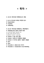 포스트 라이트업 마케팅전략 제안보고서(라이트업 STP,4P전략)-2