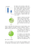 포스트 라이트업 마케팅전략 제안보고서(라이트업 STP,4P전략)-4