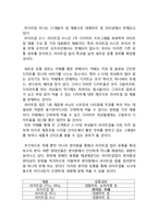 포스트 라이트업 마케팅전략 제안보고서(라이트업 STP,4P전략)-12