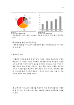 이니스프리 innisfree 브랜드분석과 이니스프리 매출증상승위한 전략제안보고서-12