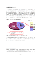 [A+레포트]지속가능한 해양관광 현황과 SWOT분석 및 전략-15