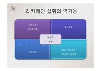 [영양학] 고카페인 음료-11
