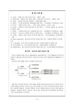 신조 파생어 분석 -인터넷 용어 중심으로-11