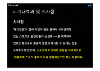 스포츠 테크민턴(Techminton) 활성화를 위한 방안-19