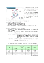 동남아 신공항 가덕도 신공항 후보지 분석-9