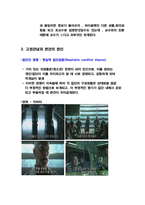 영화와 사회심리 -고정관념과 편견-9