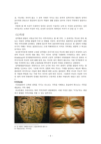 성차별적 정치문화와 사회화-6