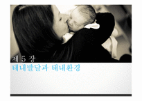 태내발달과 태내환경-1