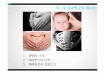 태내발달과 태내환경-3