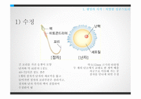 태내발달과 태내환경-5