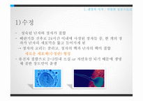 태내발달과 태내환경-6