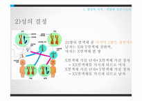 태내발달과 태내환경-9