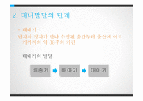 태내발달과 태내환경-12