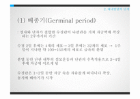 태내발달과 태내환경-13