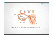 태내발달과 태내환경-14