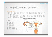 태내발달과 태내환경-16