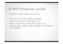 태내발달과 태내환경-17