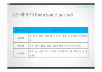 태내발달과 태내환경-18