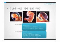 태내발달과 태내환경-19