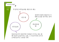 복지국가의 의의와 문제점-8