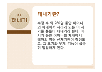 태내기, 영유아기의 발달-3