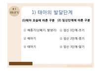 태내기, 영유아기의 발달-4
