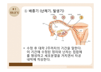 태내기, 영유아기의 발달-5