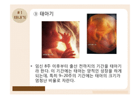 태내기, 영유아기의 발달-7