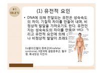 태내기, 영유아기의 발달-9