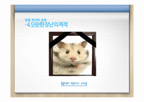 동물 학대의 원인 및 해결방안 분석-16