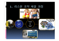리스본 조약(Treaty of Lisbon) -유럽헌법조약부결~리스본조약 체결까지-5
