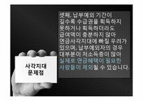 국민연금의 문제점과 대안, 해결방안-19