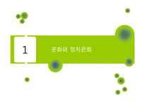 성차별적 정치문화와 사회화-3