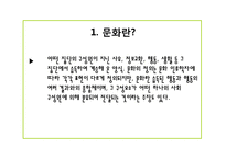 성차별적 정치문화와 사회화-4