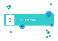 성차별적 정치문화와 사회화-7
