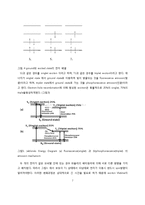 [고분자화학] 나노 복합재료(1)-7