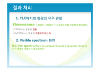 TPP와 CuTPP 합성 레포트-19