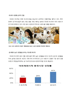 [국제경영] 아모레 퍼시픽의 중국 진출 전략-5