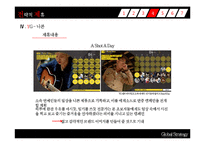 [글로벌전략] 연예기획사의 전략적 제휴(YG - 니콘, 싸이더스HQ - 카페베네)-17