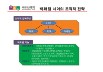 세이 백화점 조직분석-12