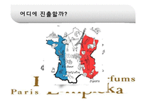 [국제경영] 태평양 롤리타 렘피카 Lolita Lempicka 프랑스진출 성공요인-5