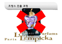 [국제경영] 태평양 롤리타 렘피카 Lolita Lempicka 프랑스진출 성공요인-8