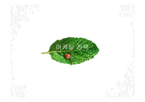 뉴트리라이프 마케팅 커뮤니케이션-15