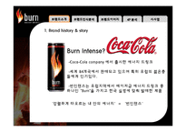 [국제경영] 번인텐스의 국내시장 실패사례 분석 -브랜드 관리 측면에서-3