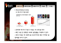 [국제경영] 번인텐스의 국내시장 실패사례 분석 -브랜드 관리 측면에서-6