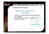 [국제경영] 번인텐스의 국내시장 실패사례 분석 -브랜드 관리 측면에서-10