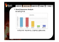 [국제경영] 번인텐스의 국내시장 실패사례 분석 -브랜드 관리 측면에서-13