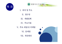 [관광개발론] 대명리조트 양양 솔비치 분석-2